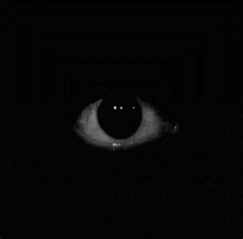 An Evil Looking Eye In The Dark