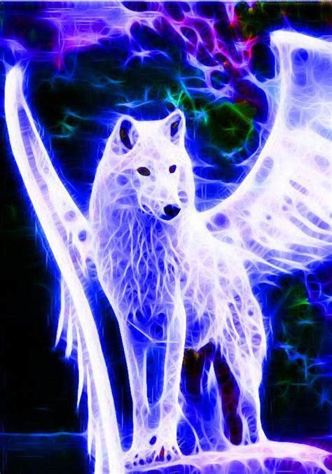 Angel Wolf Fantasy Wolf Wolf Spirit Animal Wolf Wallpaper