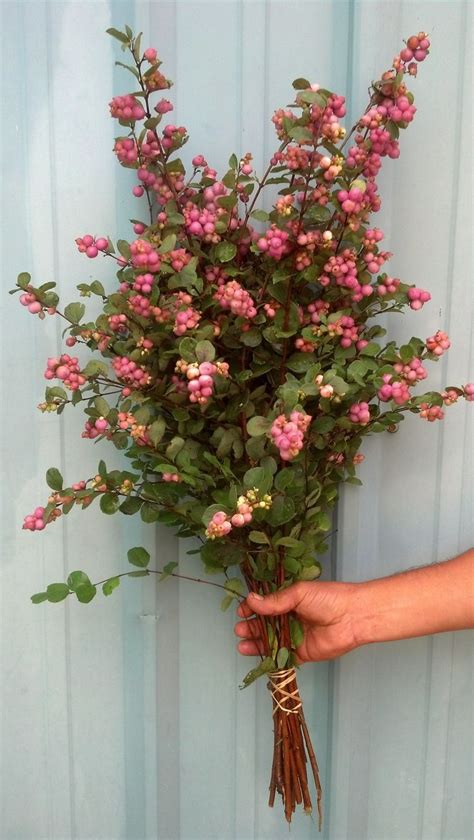 Pink Snowberries Floral Pink Decor