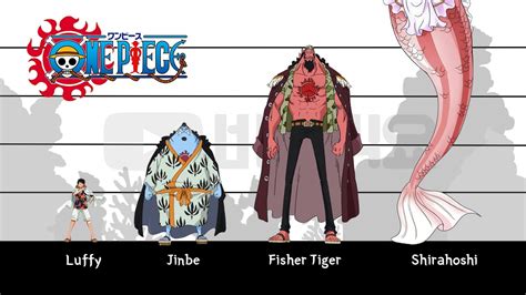 One Piece Fish Men And Merfolk Characters Height Comparison Youtube