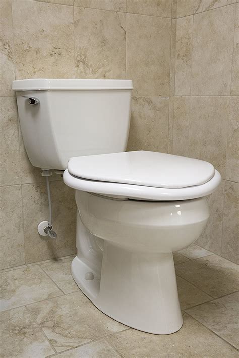 The Best Extra Large Toilet Seat Of 2022 Toiletops