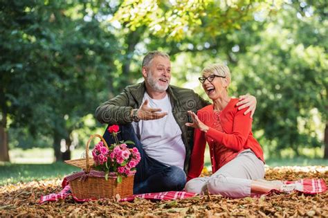Senior Couple Having A Picnic In Park Stock Image Image Of Celebration Basket 247191597
