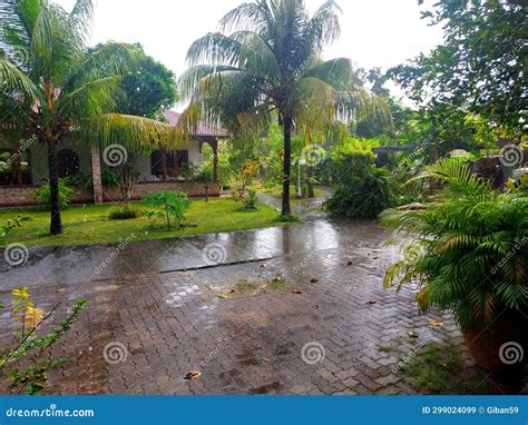 Seychelles Intense Tropical Downpour Stock Image Image Of Tropics