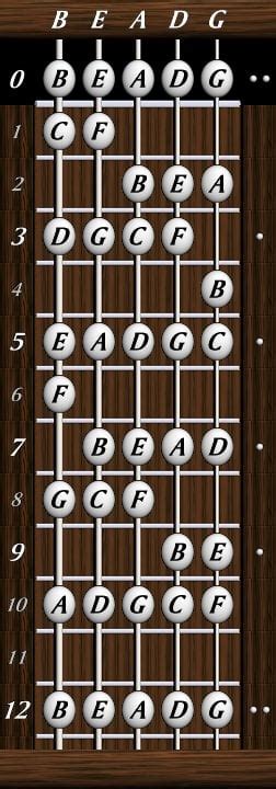 5 String Fretboard Chart