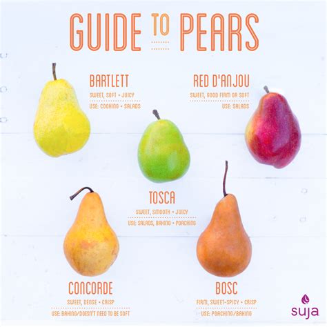 Different Types Of Pears Pear Varieties And Tastes Suja Juice Pear Varieties Pear Recipes Pear