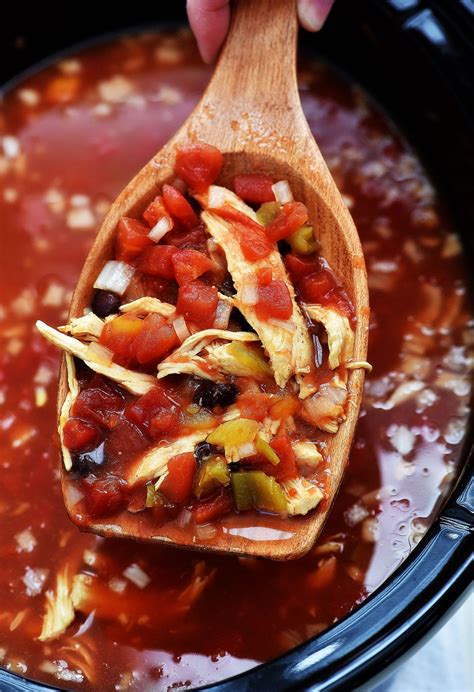 Let me count the ways. Slow Cooker Chicken Tortilla Soup is one I've been making ...