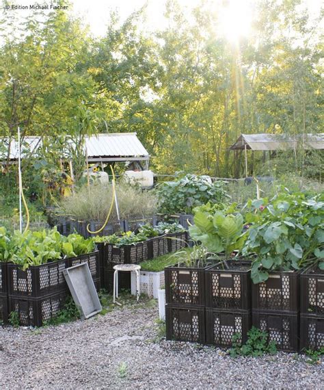 Urban Gardening Gartenzauber Gardening Biologischer Anbau Garten