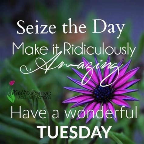 Make The Day Amazing Happy Tuesday Pictures Photos And Images For