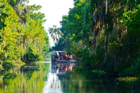 16 Best New Orleans Swamp Tours Tourscanner