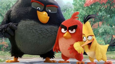 Los Angry Birds Las Estrellas De Espías Desde El Cielo Y Lo último