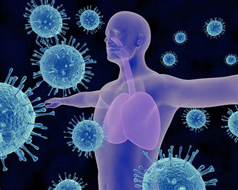 New Insights Into Respiratory Virus Immunity Could Aid Vaccine Design