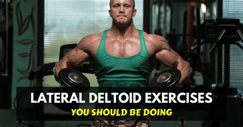 Side Deltoid Lateral Deltoid Exercises You Should Be Doing Bút