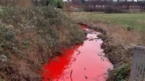 A Sign Of The Endtimes River Turns Blood Red As Council Staff