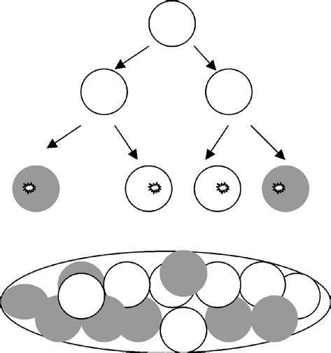 Lyonization is inactivation of one of the x chromosomes in females. X-inactivation (also called lyonization) is a process by ...