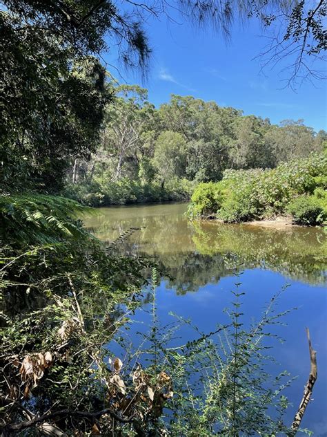 Fairylands And The Lane Cove Valley Gnw Escape And Explore