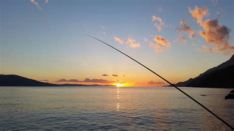 Fishing Rod Near Body Of Water During Sunset · Free Stock Photo