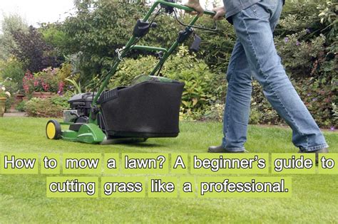 How To Mow A Lawn A Beginners Guide To Pro