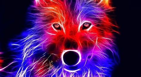 Wallpapers Wolf Red Wolf Wallpaperspro