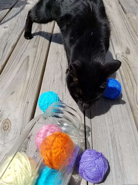 How To Make An Easy Homemade Cat Toy No Sewing No Knitting