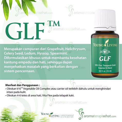 Sehingga bermanfaat digunakan saat batuk pilek untuk melegakan pernafasan. GLF Essential Oil | Hidup sehat, Kesehatan, Young living
