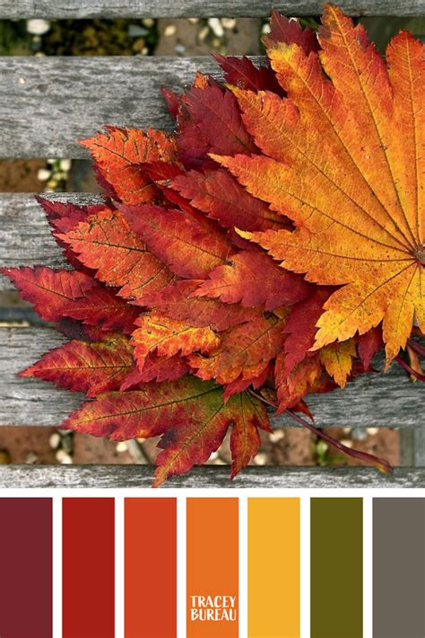 Color Inspired Palette 63 Autumn Leaf Color Color Schemes Colour