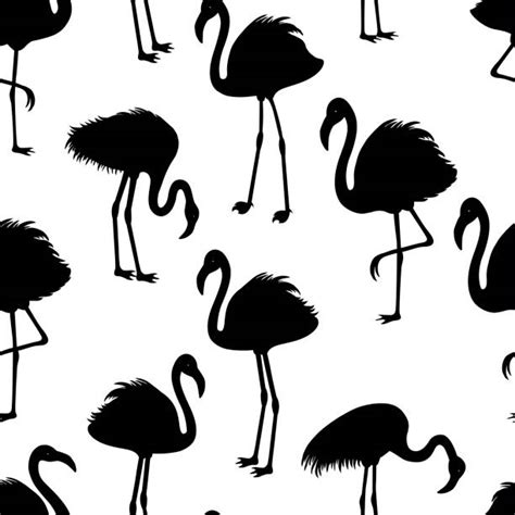 Top Funny Flamingo Silhouette Clip Art Vector Graphics