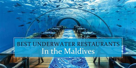 8 Best Underwater Restaurants In The Maldives A Foodies Paradise