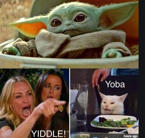 Baby Yoda Yelling Cat Meme 10lilian
