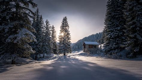 Download Wallpaper 1600x900 Winter Hut Trees Thick Snow Cold Hd Background