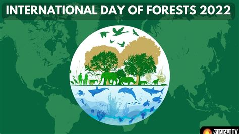 International Day Of Forests 2022 History Theme Unexplored Wildlife