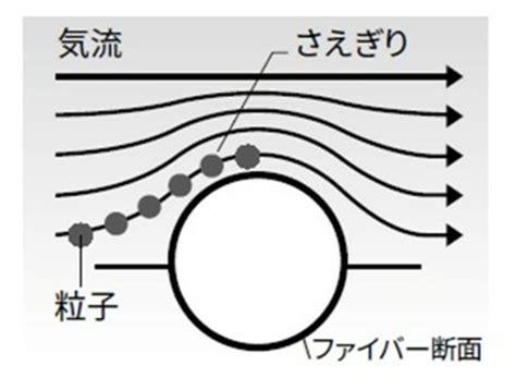 文系編集者花房麗子がわかるまで聞いたアベノマスクと使い捨てマスクの差花房 麗子 FRaU