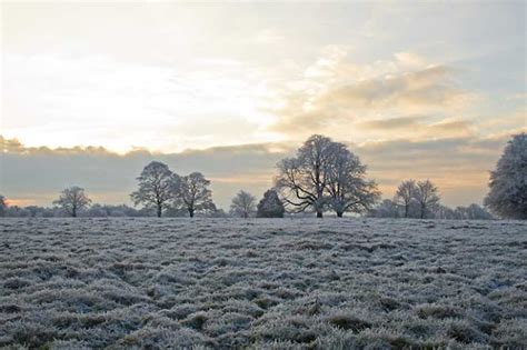 PETER'S LANDSCAPES: Winter Frost