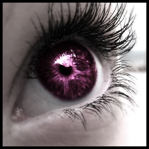 Purple Eyes Eyes Photo 5092328 Fanpop
