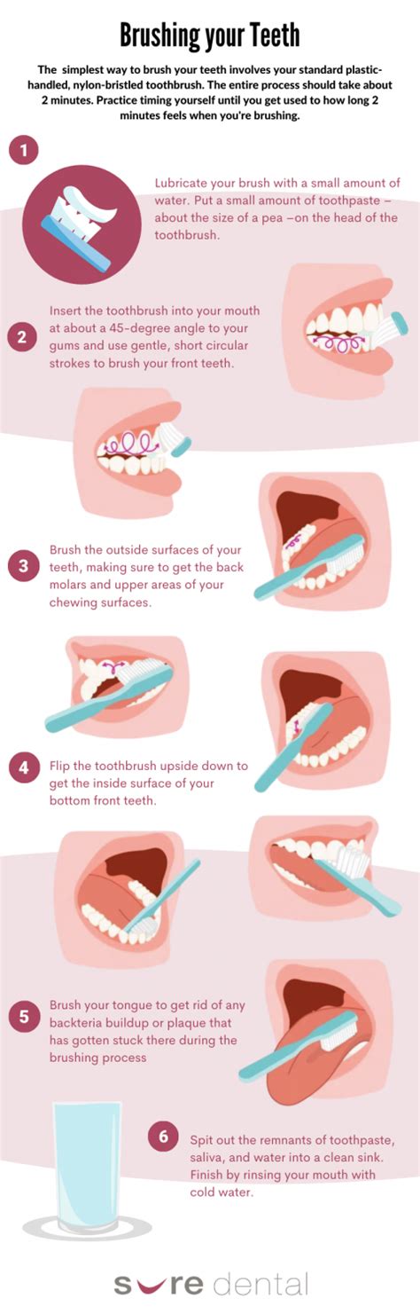 How To Brush Your Teeth Infographics Sure Dental