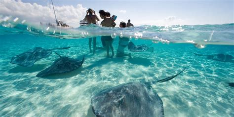 Plan Your Cayman Island Adventure Marriott Bonvoy Traveler