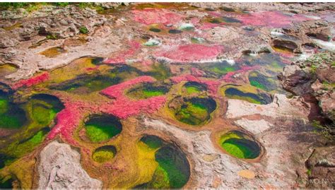 Jun 20, 2021 · la lista de maravillas naturales que todo el mundo debería conocer. Caño Cristales, paraíso natural de La Macarena