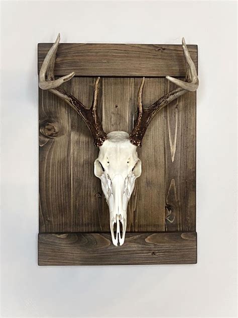 Shutter Style Deer European Skull Mount Wood Plaque Wall Etsy Deer