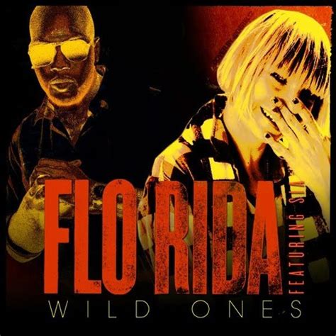 팝송 속 영어 Flo Rida Feat Sia Wild Ones 듣기뮤비가사해석 네이버 블로그
