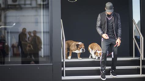 Jun 05, 2021 · entlaufener hund nach einem jahr wiedergefunden video: Lewis Hamilton: Hund Coco ist tot