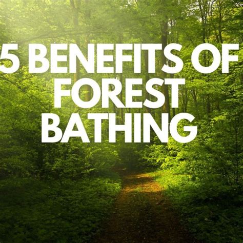 How To Do Forest Bathing 9 Surprising Benefits Artofit