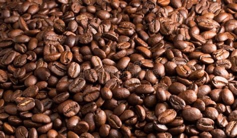 Flavored Coffee Beans Stock Photo Image Of Depth Field 69169144
