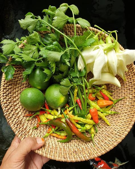 Kamu dapat memasak makan malam sehat menggunakan 7 bahan dan 3 langkah. Masak Malam Hari - Lentho Demit Jajanan Ndeso Yang Muncul ...