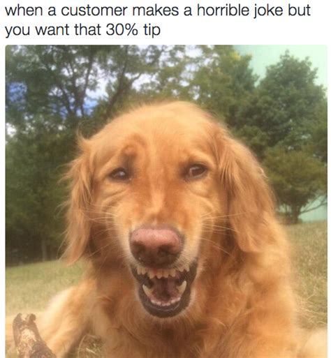 27 Faces Anyone Who Has To Serve Customers Will Understand Funny Dog
