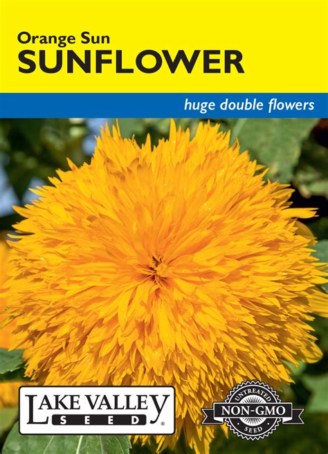 Sunflower Orange Sun Double Item 637 Lake Valley Seed