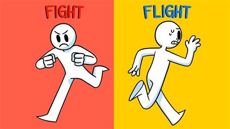 Have You Ever Heard The Term Fight Or Flight Fight Or Flight