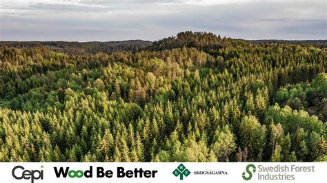 Eu Forest Based Industries For A Sustainable Future Youtube