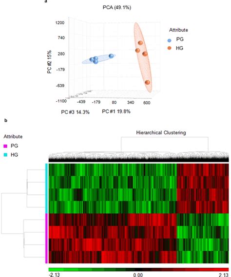 Whole Genome Dna Methylation Profiling In Hnpcs Under Pg Or Hg Using Download Scientific
