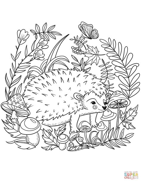 Hedgehog coloring page | Free Printable Coloring Pages