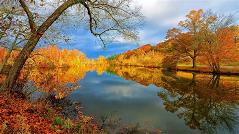 Download 1366x768 Lake Autumn Fall Reflection Trees Clouds Leaves
