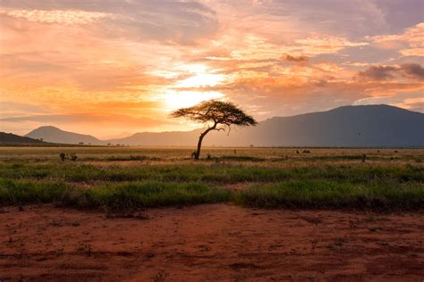 Africa Landscape Pictures Download Free Images On Unsplash